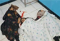 شیعه‌کشی را متوقف کنید!